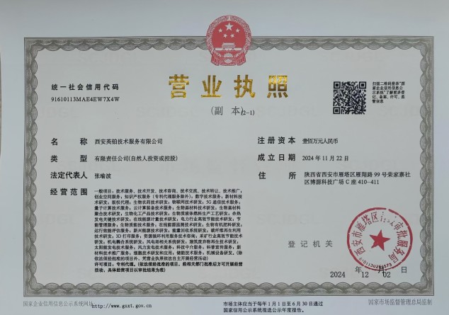 西安技术服务有限公司营业执照