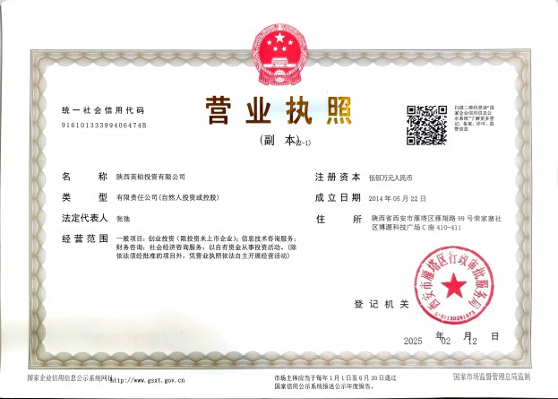 陕西英铂投资有限公司营业执照