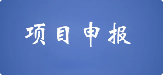 英铂项目申报业务——解锁项目申报，助力企业腾飞